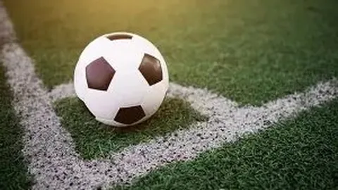 天才少年养成记